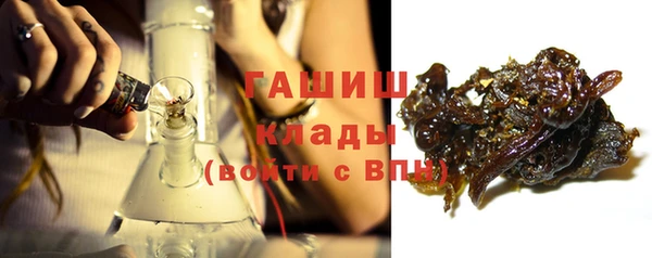 индика Алзамай
