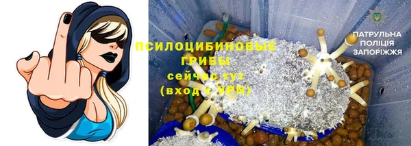 индика Алзамай